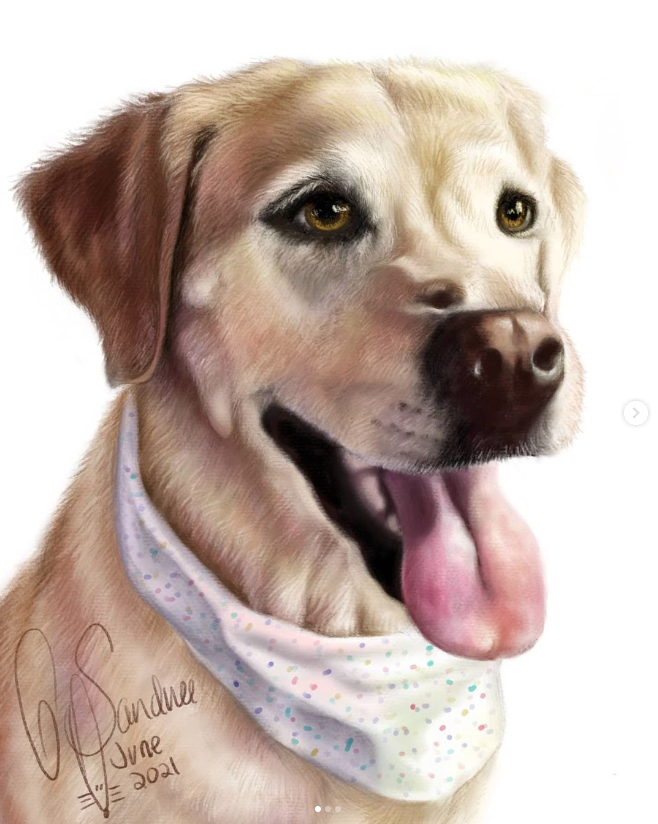 Labrador